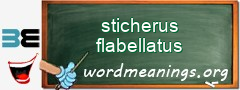 WordMeaning blackboard for sticherus flabellatus